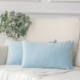 thumbnail image 1 of Soft Silky Velvet Series Square Decorative Throw Pillow Covers for Couch, 12" x 20", Light Blue, 2 Pack, 1 of 6