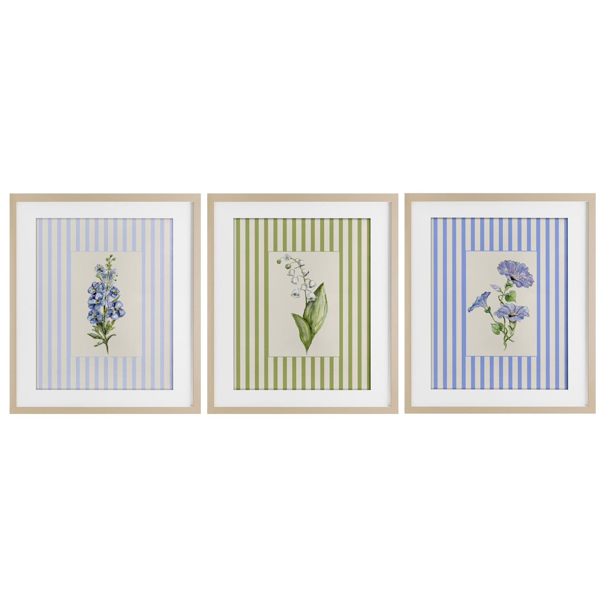 Soft Stripe Cottage Blooms 3 Piece Birch Framed Print Under Glass Set, design by Lisa Wehmeyer