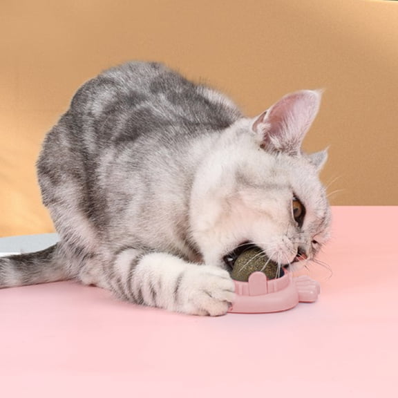 Soft Stuffing Chew Toy for Dogs and Cats, Quacking Sound Keeps Pets Engaged, Gentle on Teeth for Puppy and Kitten Teething and Oral Cleaning