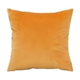 thumbnail image 1 of Soft Throw Pillow Covers, 22X22 In, Golden Velvet, Accent Pillow, Sofa PillowsforLiving Room, Room Decorations, Neutral Seasonal Upgrades, 1 Pc, Cover Only, 1 of 8
