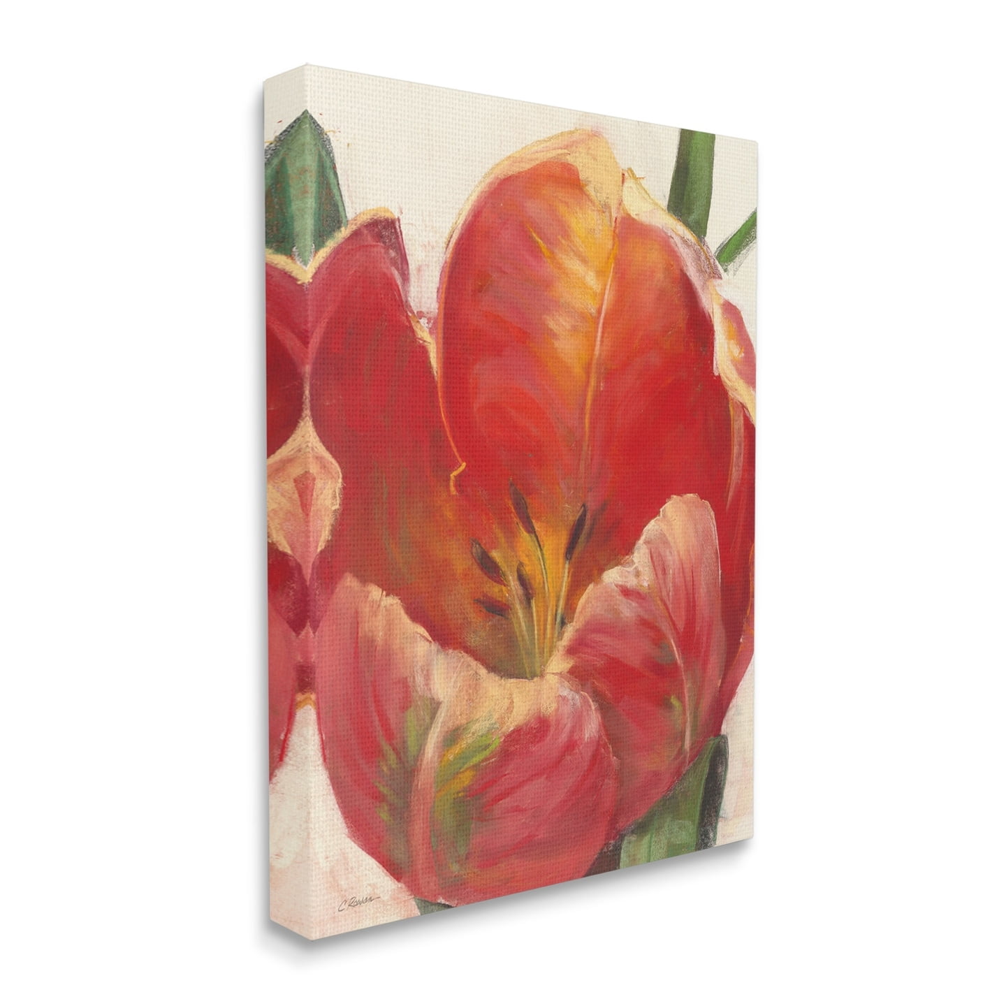 Soft Tulip Floral Close-Up Petal Detail 24 in x 30 in Painting Canvas Art Print, by Stupell Home Décor