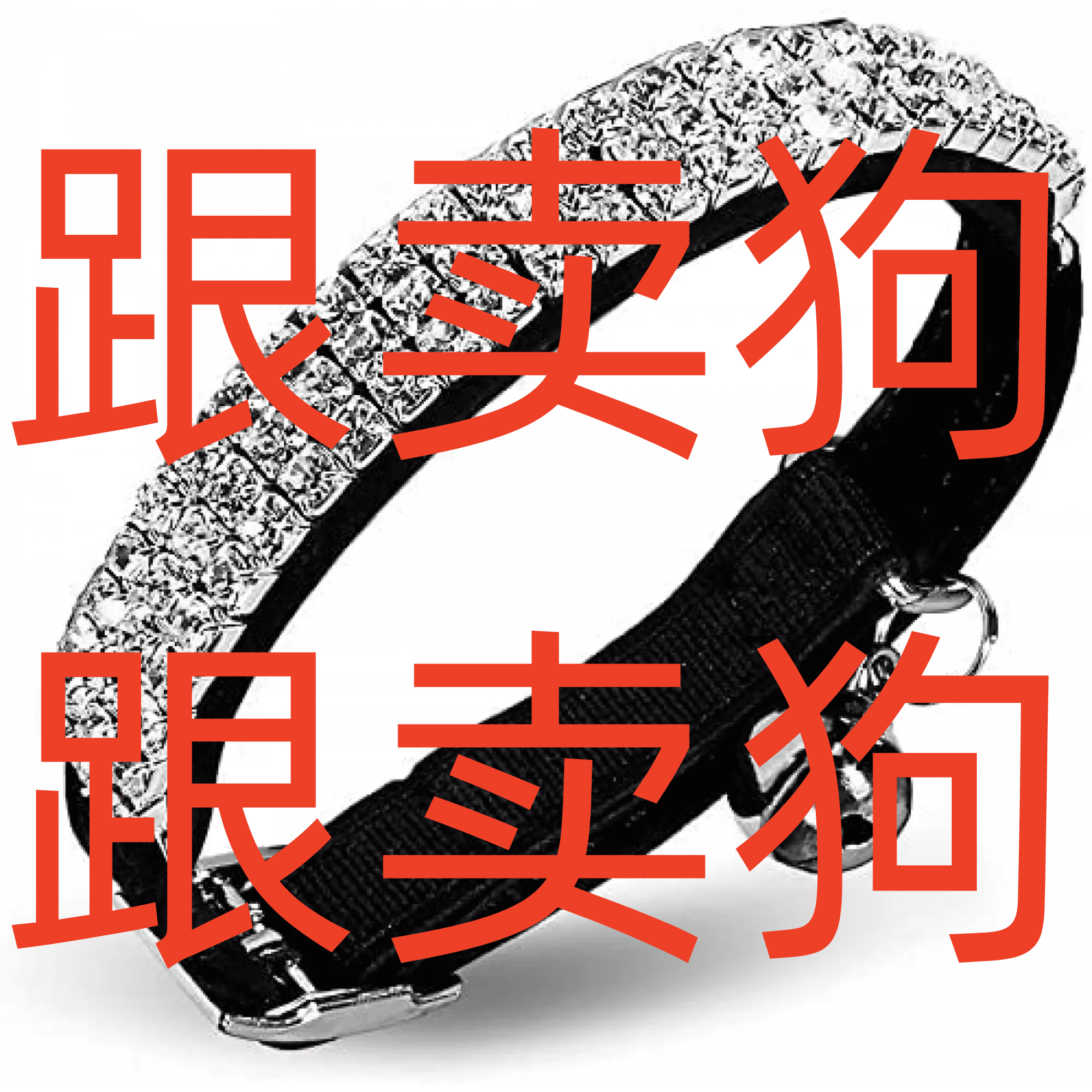 Curated visual reference: Visual Reference: Soft Velvet Safe Cat Adjustable Collar Bling Diamante With Bells