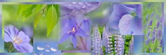 Soft Violet Collage Canvas Art - Cora Niele (12 x 36)