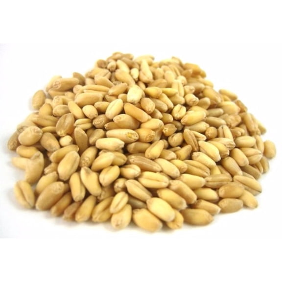 Soft Wheat Kernels (RED)