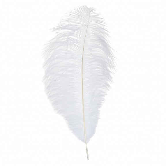 Soft White Feather Decorations, Comfortable Fluffy Feathers for DIY Crafts, Wedding Centerpieces, Family Parties, Christmas, and Holiday Decor