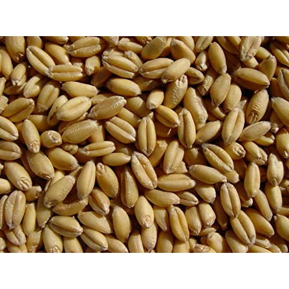 Soft White Wheat 18 Lbs, Joseph's Grainery Wheat Berries, All Natural, NON-GMO, Kosher Certified