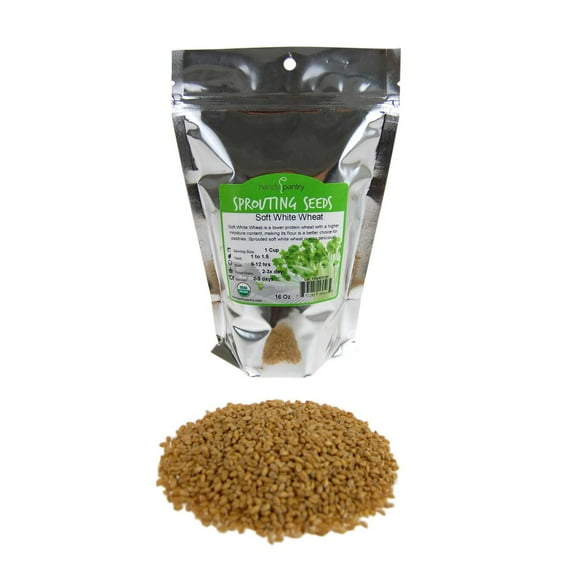 Soft White Wheat - Organic - 1 Lbs. Resealable Pouch - Handy Pantry Brand - Perfect for Food Storage, Flour, Baking, Sprouting & More