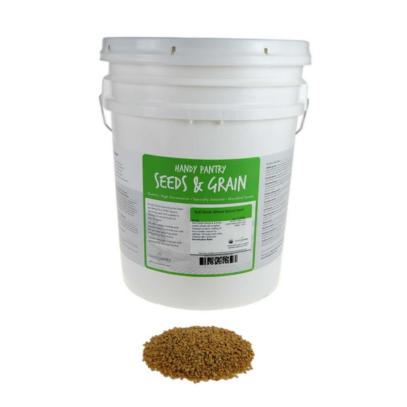 Soft White Wheat - Organic - 35 Lbs. Resealable Bucket - Handy Pantry Brand - Perfect for Food Storage, Flour, Baking, Sprouting & More