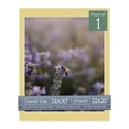 thumbnail image 1 of Soft Yellow Picture Frame Mat for 24x30 Frames - Fits 22x26 Photos - 1 Mat, 1 of 7