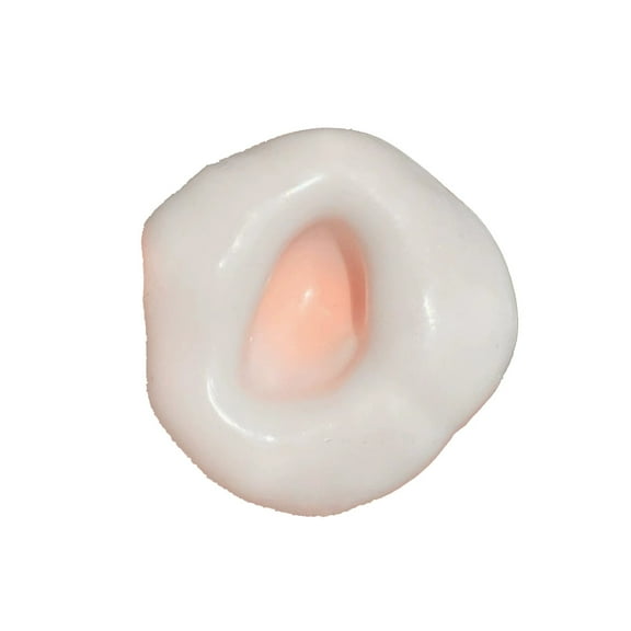 Soft and Realistic Silicone Simulation Model for Medical Training, Anatomy Education, Durable and Portable Design