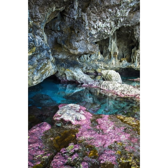 Soft corals decorate the ocean caves that line the Nuie coastline; Niue Poster Print