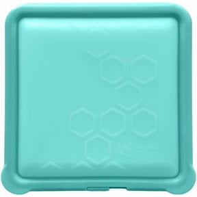 SoftShell Reusable Silicone Food Storage Container - Clamshell Snap-Close Design, No Lost Lids, Easy to Clean, Compact for Travel, Meal Prep, Microwave Freezer and Dishwasher Safe