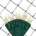 thumbnail image 1 of SoftTwinkle 4' x 6' Warm White LED Christmas Net Lights Net Style Mini Lights for Outdoor Party Wedding – Green Wire, 1 of 7