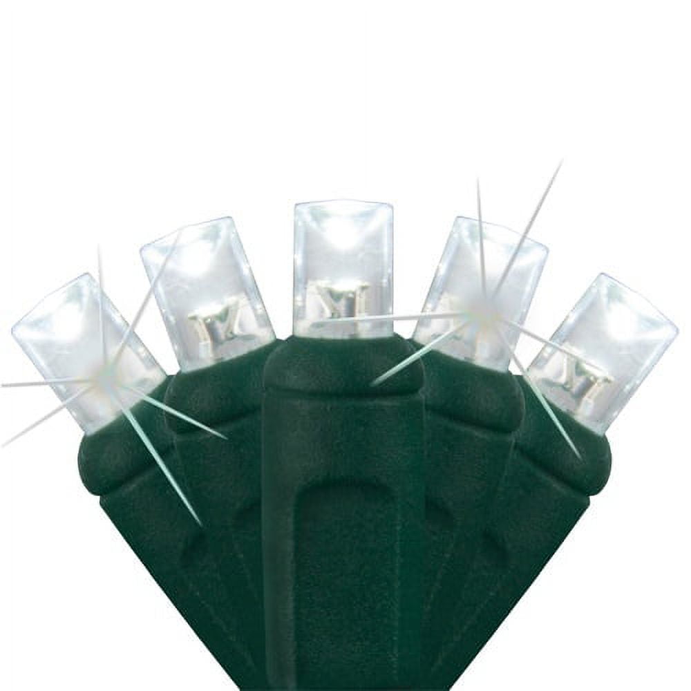 Soft twinkle 2024 christmas lights