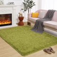 thumbnail image 1 of Softlife Super Soft Rug for Living Room Kids Room Fluffy Rugs for Dorm Room Cute Plush carpet for Bedroom,3' x 5',Green, 1 of 7