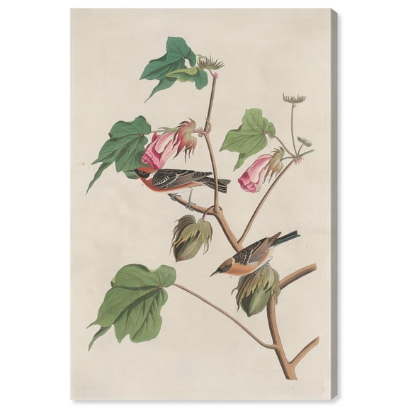 Softness of Things Canvas Print Botanical Art by Art Remedy, Gallery Wrapped, 10 x 15