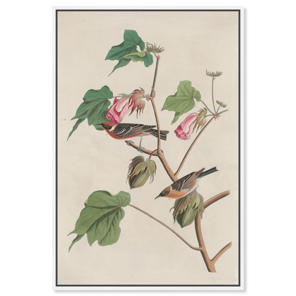 Softness of Things Canvas Print Botanical Art by Art Remedy, White Frame, 36 x 54