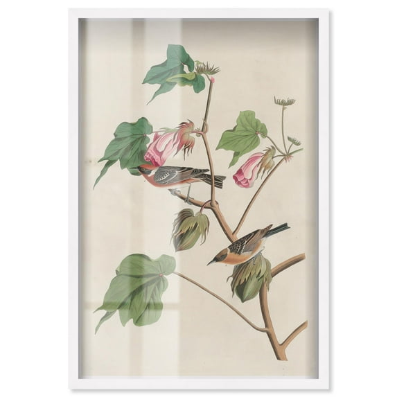 Softness of Things Shadowbox Print Botanical Art by Art Remedy, White Frame, 24 x 36