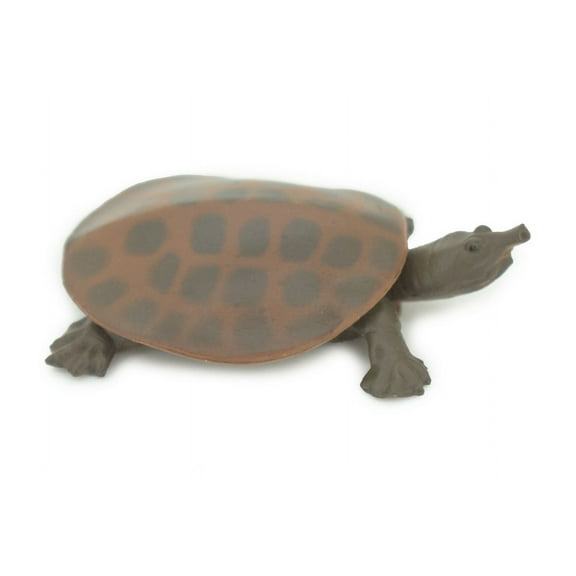 Softshell Turtle, Apalone spinifera, Freshwater Turtle, Hand Painted, Educational, Rubber Reptile, Realistic Figure, Lifelike, Gift, 2" SF38 B15