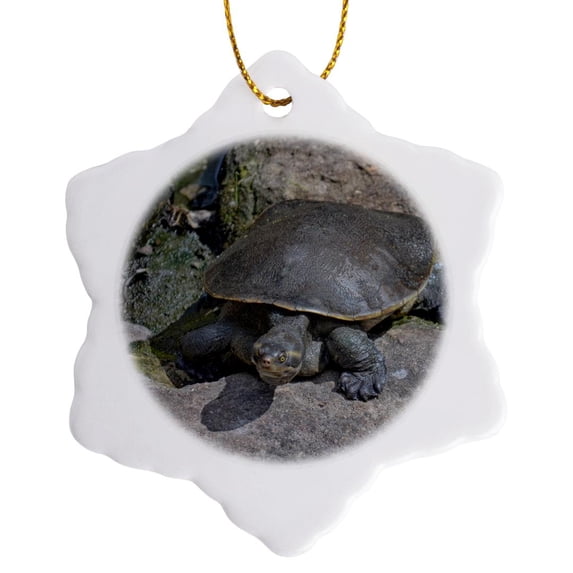 3drose, Softshell Turtle on Rock Reptile, 3 inch Snowflake Porcelain Ornament