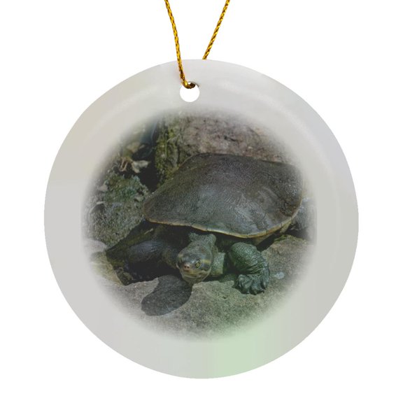 3drose, Softshell Turtle on Rock Reptile, Circle Porcelain Ornament