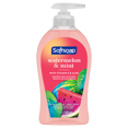 thumbnail image 1 of Softsoap Moisturizing Liquid Hand Soap Pump, Watermelon & Mint Scent, All Skin Type, 11.25 fl oz, 1 of 6