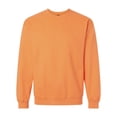 thumbnail image 1 of Softstyle Midweight Crewneck Sweatshirt, 1 of 1