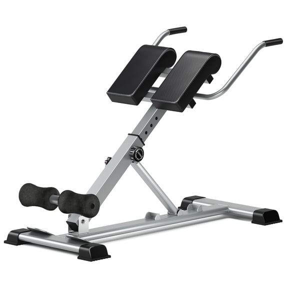 Soges Roman Chair Back Extension Machine, Hyperextension Bench for Hamstring, Glute and Lower Back, Adjustable and Foldable workout weight bench Exercise Fitness Equipment for Home Gym,Silver