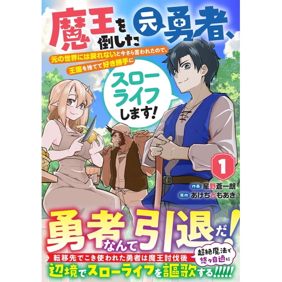 Soichiro Hoshin The Former Hero Who Defeated The Demon King Was Told He Could Not R (Paperback)