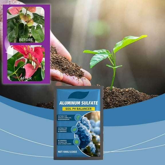 Soil Acidifier for Plants, 100ml Concentrated Liquid to Lower pH, Azalea, Hydrangea, Blueberry, Rhododendron Fertilizer, Indoor Outdoor Plant Food, Corrects Alkaline Soil, Promotes Nutrient Uptake