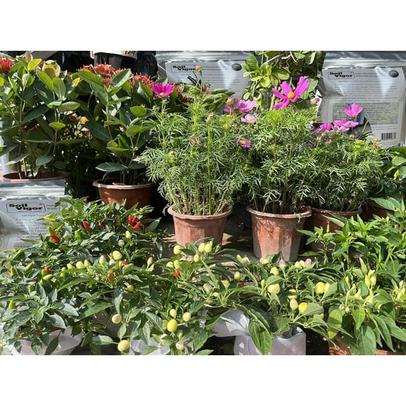 Soil Vigor 35 lb Fine Granule Potassium Super Absorbent Polymer  Water Retention Solution for Agriculture, Horticulture, and Farming