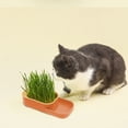 thumbnail image 1 of Soilless Hydroponic Cat Grass Box,Detachable Wheatgrass Growing Pot,Digestion Aid Cat Grass Kit,Safe Plastic Easy Clean Planter,Portable Home Window Sill Pet Grass Cultivation Box, 1 of 6