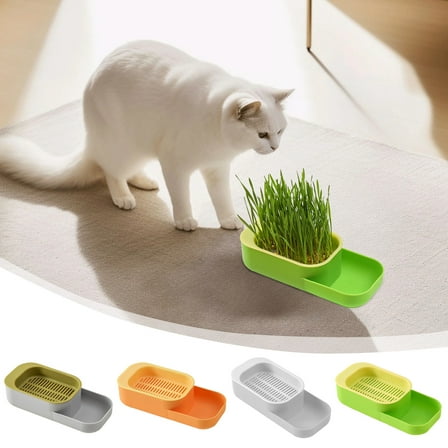 Soilless Hydroponic Cat Grass Growing Kit with Removable Tray & Breathable Lid for Healthy Digestion Aid and Safe Indoor Snacking for Cats NAJKZA | Dark Gray