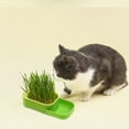 thumbnail image 1 of Soilless Hydroponic Cat Grass Growing Kit with Removable Tray & Breathable Lid for Healthy Digestion Aid and Safe Indoor Snacking for Cats NAJKZA | Green, 1 of 9
