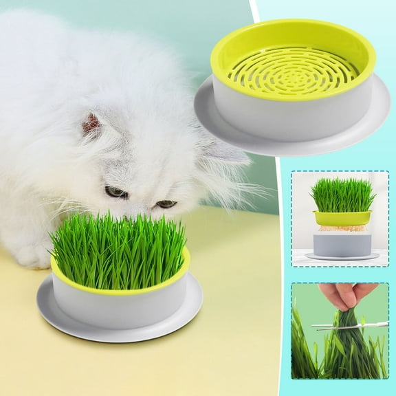 Soilless Hydroponic Growing Pots, Qiopertar Under $5 Soilless Hydroponic Cultivation Of Small Grass And Vegetables In Grass Pots With Porous Pots