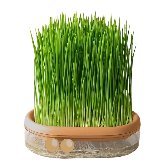 Soilless Hydroponic Planting Pot Grass Growing Container,Water Based Planter for Vegetable Herb Cultivation,Sustainable Modern Gardening Solution for Home Garden Balcony Kitchen