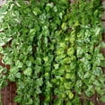 thumbnail image 1 of Soimiss 12Pack Artificial Vine Green Silk Flower Decorative Hanging Garland for Coffee Shop Decor, 1 of 5