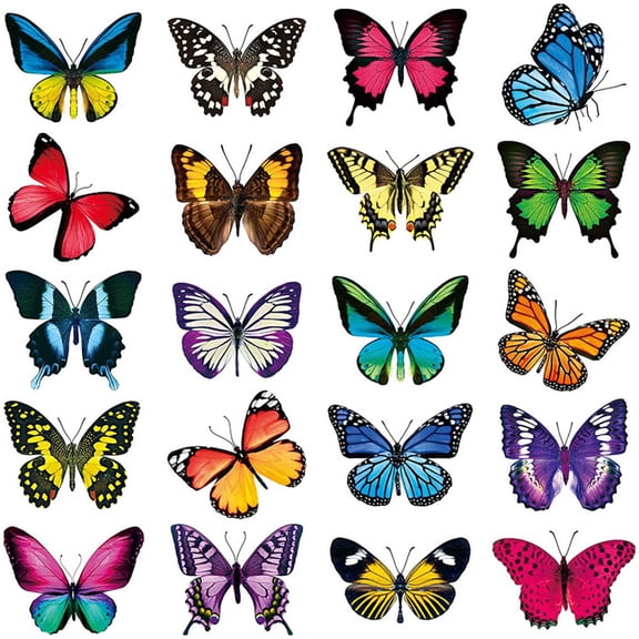 Soimiss 20Pcs Window Clings for Birds Strikes PVC Random Style