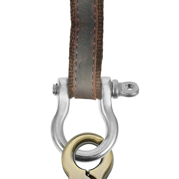 Soimiss 2Pcs Metal D Ring Connector Buckles with Corrosion Resistance in Silver for Pet Harnesses