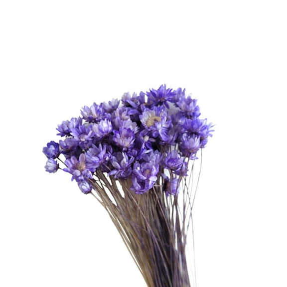 Soimiss 30 Pcs Natural Preserved Flowers for DIY Bouquet Decoration Beautiful Purple Dried Flowers Lasting