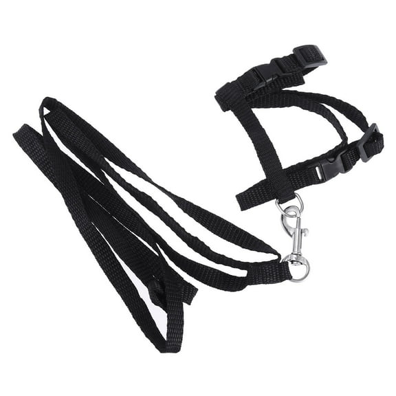 Soimiss Cat Accessories Traction Rope Nylon Black for Safety Control 1Set