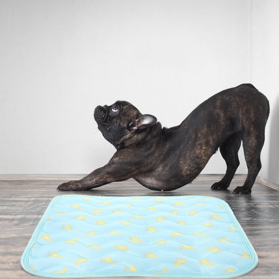 Soimiss Sky Blue Cooling Pad for Dogs Soft Breathable Mesh Pet Sleeping Cushion