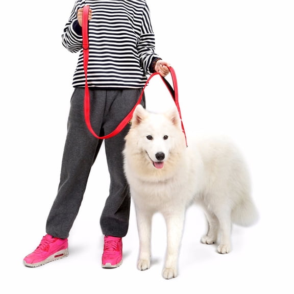 Soimiss Puppy Rope Lead Durable Red Nylon 1Pack