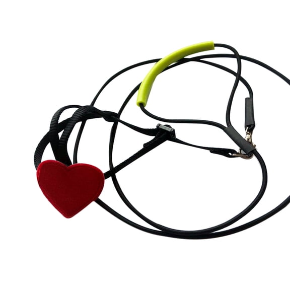 Soimiss Parrot Flying Rope Bird Harness For Pet Owners Assorted Color Safety Control 1Pcs