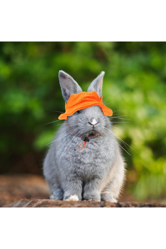 Small Animals Hat Bunny Hat Rabbit Hat With Adjustable Chin Strap Ear Holes Pet Clothes For Guinea Pig Bunny Chinchilla 1 Set