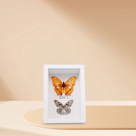 Soimiss Handmade White Wooden Shadow Box Frame for Photo and Specimen Display