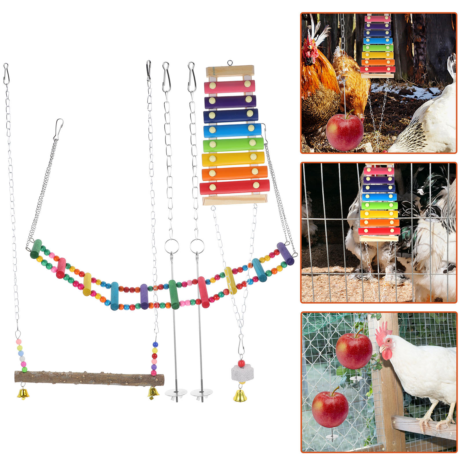 Curated visual reference: Visual Reference: Foraging Parrot