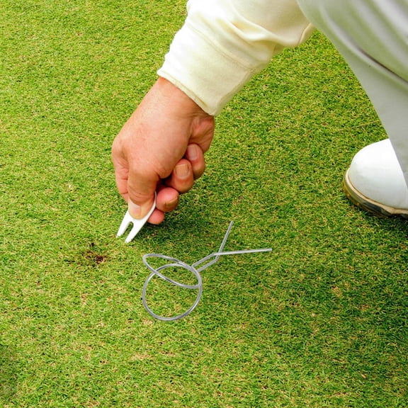 Soimiss Versatile Golf Ball Picker Tool in Silver for Park Golf and Practice