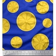 thumbnail image 1 of Soimoi Blue Cotton Voile Fabric Lemon Slice Block Print Fabric by Yard 42 Inch Wide, 1 of 1
