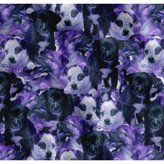 Soimoi Cotton Cambric Fabric Puppies Scene Fabric Prints by Yard 56 Inch Wide